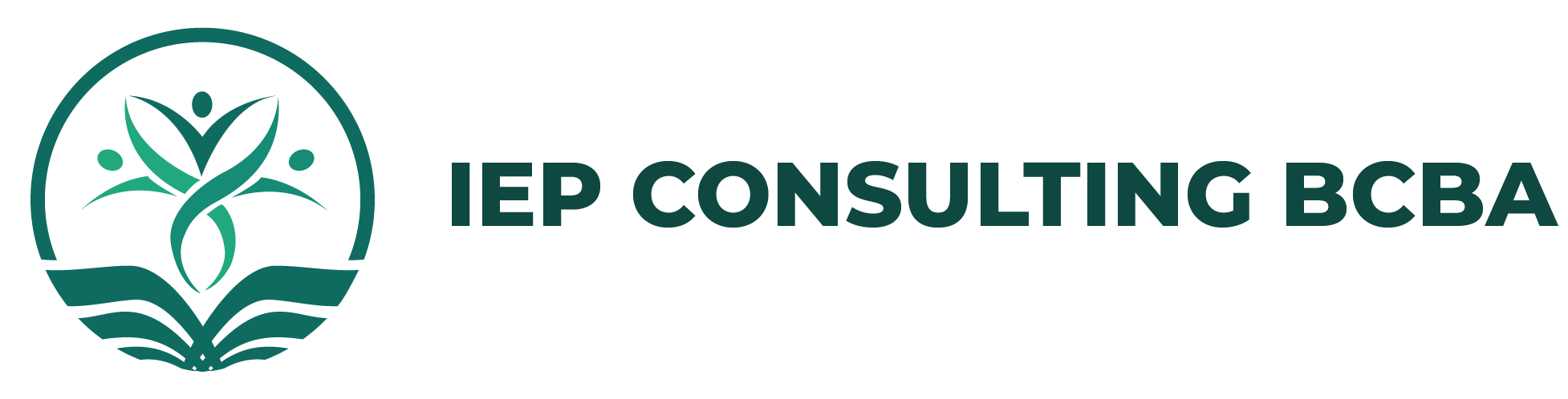 IEP Consulting